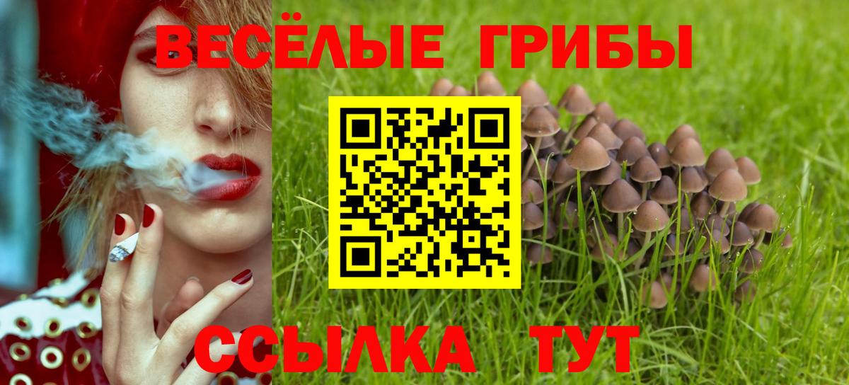 Псилоцибиновые грибы Cubensis Татарск