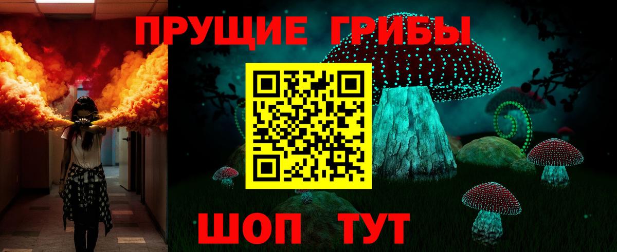 Татарск  Галлюциногенные грибы прущие грибы  Вход с VPN 